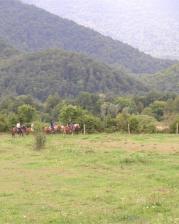 Velebit - Rizvanuša