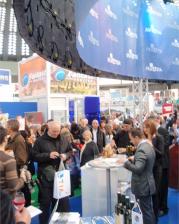 IFT Beograd