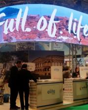 Sajam Fitur 2016_1