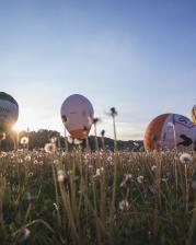 Croatia Hot Air Balloon Rally