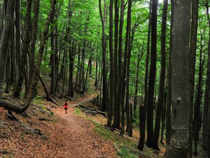 Sustav turističkih zajednica Učka Trail