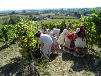 Voloderske jeseni