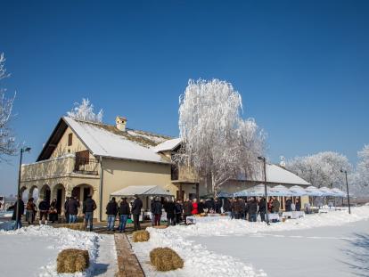 TZ Vukovarsko-srijemska Vinkovo u Vukovaru