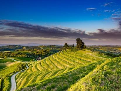 TZ Štrigova JAZZ u vinogradu, Maderkin breg