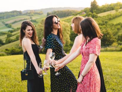 Go Media Vinogradi s pogledom